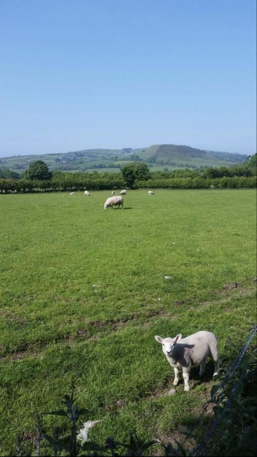 Bed and Breakfast Killoughagh House Cushendall Esterno foto